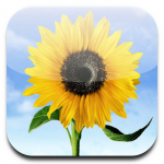 Apple_Photo_App_Icon